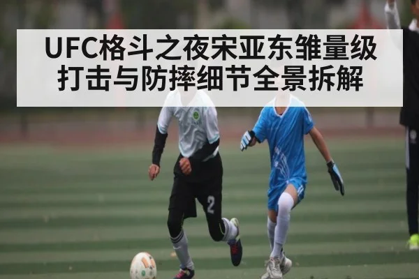 UFC格斗之夜宋亚东雏量级打击与防摔细节全景拆解